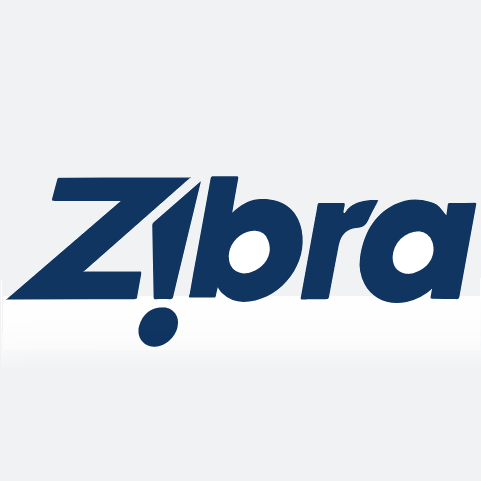 Zibra Paint Brushes – B's Bo D Designs