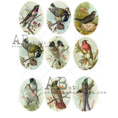 Birds of Nature Medallions Decoupage Rice Paper A4 Item No. 0564 by AB Studio