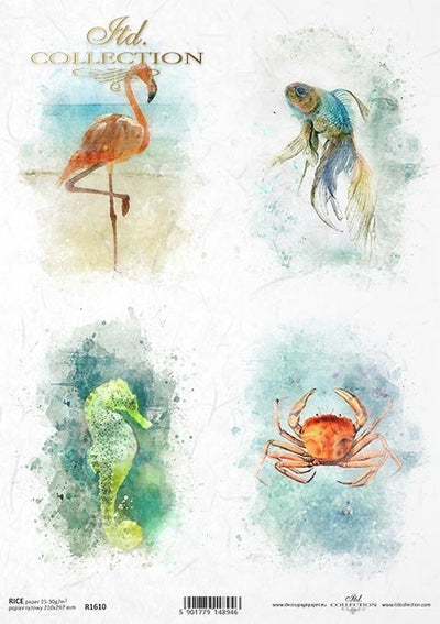 Flamingo and Sea Life Watercolor Cards Decoupage Rice Paper A4 Item R1610 by ITD Collection