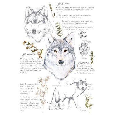 Gray Wolf Transfer Redesign with Prima – TOTAL SHEET SIZE 24″X35″, CUT INTO 3 SHEETS