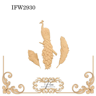 IFW 2930