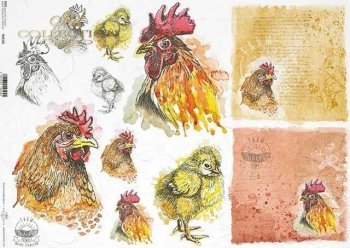 Roosters and Peeps Watercolor Cards Decoupage Rice Paper A4 Item R1572 by ITD Collection