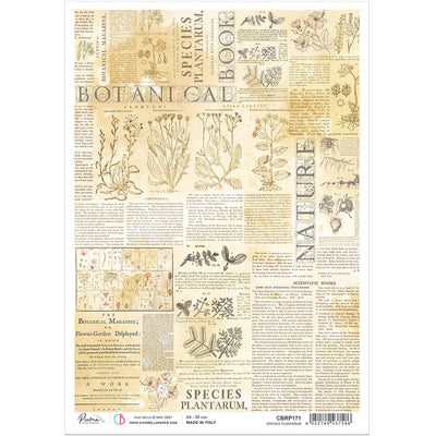 Species Plantarium A4 Rice Paper by Ciao Bella