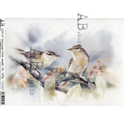 Two House Sparrows Birds on a Branch Decoupage Rice Paper A4 Item No. 1256 by AB Studio