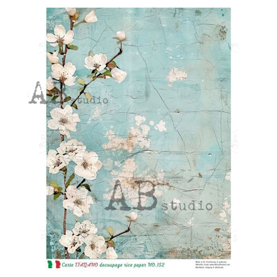 A delicate decoupage rice paper design featuring a branch of white cherry blossoms against a distressed, textured turquoise background. 