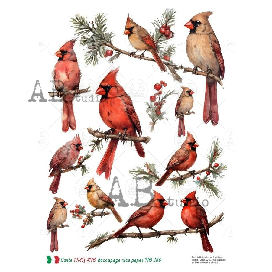 Cardinal Labels Decoupage Rice Paper A4 Item Carte Italiano 189 by AB ...