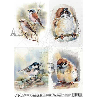 Adult and Baby Bird Cards Decoupage Rice Paper A4 Item No. 1282 by AB Studio