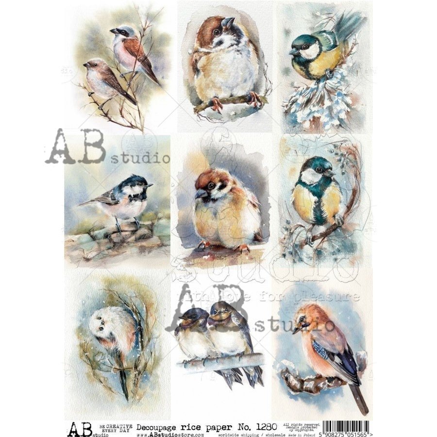 Bird Cards Decoupage Rice Paper A4 Item No. 1280 by AB Studio – All ...