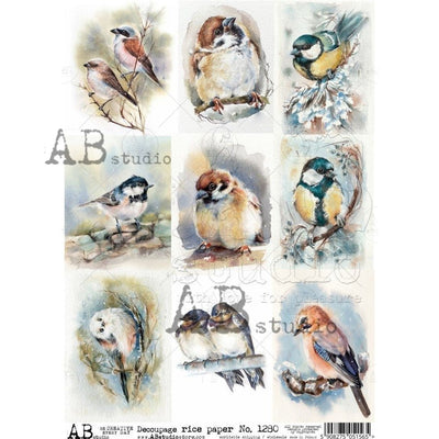 Bird Cards Decoupage Rice Paper A4 Item No. 1280 by AB Studio