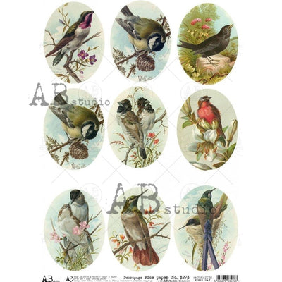 Bird Portraits 2 Medallions Decoupage Rice Paper A3 Item No. 3273 by AB Studio