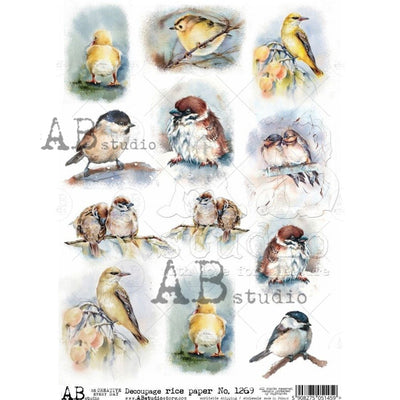 Birds and Duckling Medallions Decoupage Rice Paper A4 Item No. 1269 by AB Studio