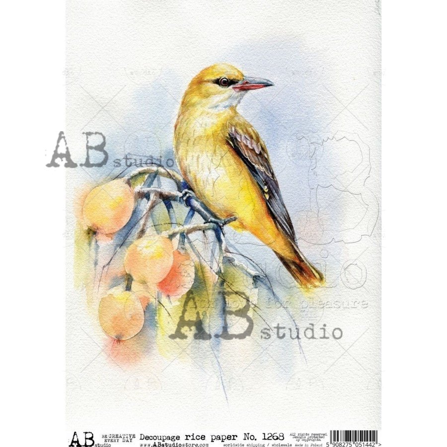 Black-Naped Oriole Decoupage Rice Paper A4 Item No. 1268 by AB Studio ...