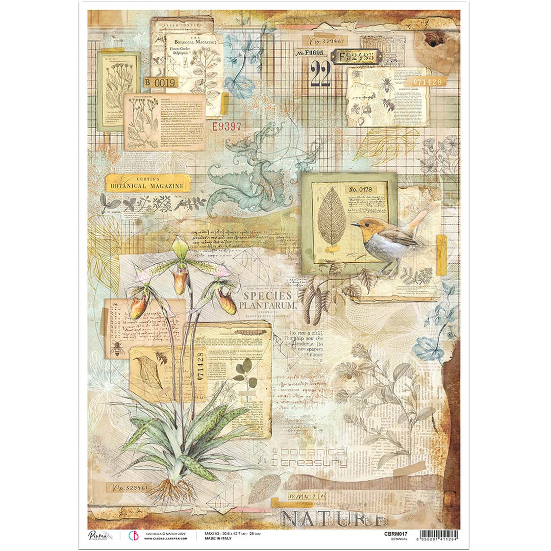 Handmade Craft Paper Botanical Theme Rice Paper For Crafts - 6 Designs ...