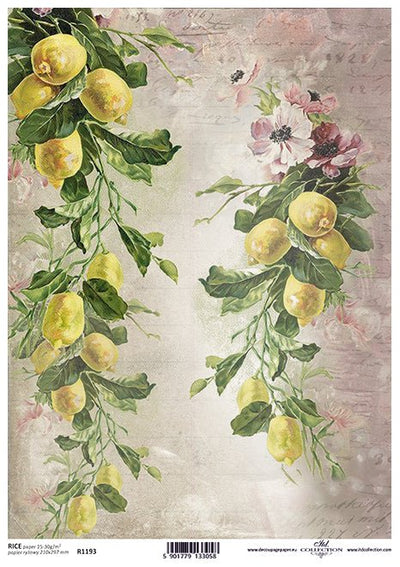 Bountiful Lemons Decoupage Rice Paper A4 Item R1193 by ITD Collection