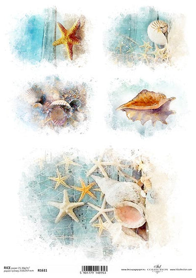 Coastal Shells and Starfish Decoupage Rice Paper A4 Item R1611 by ITD Collection