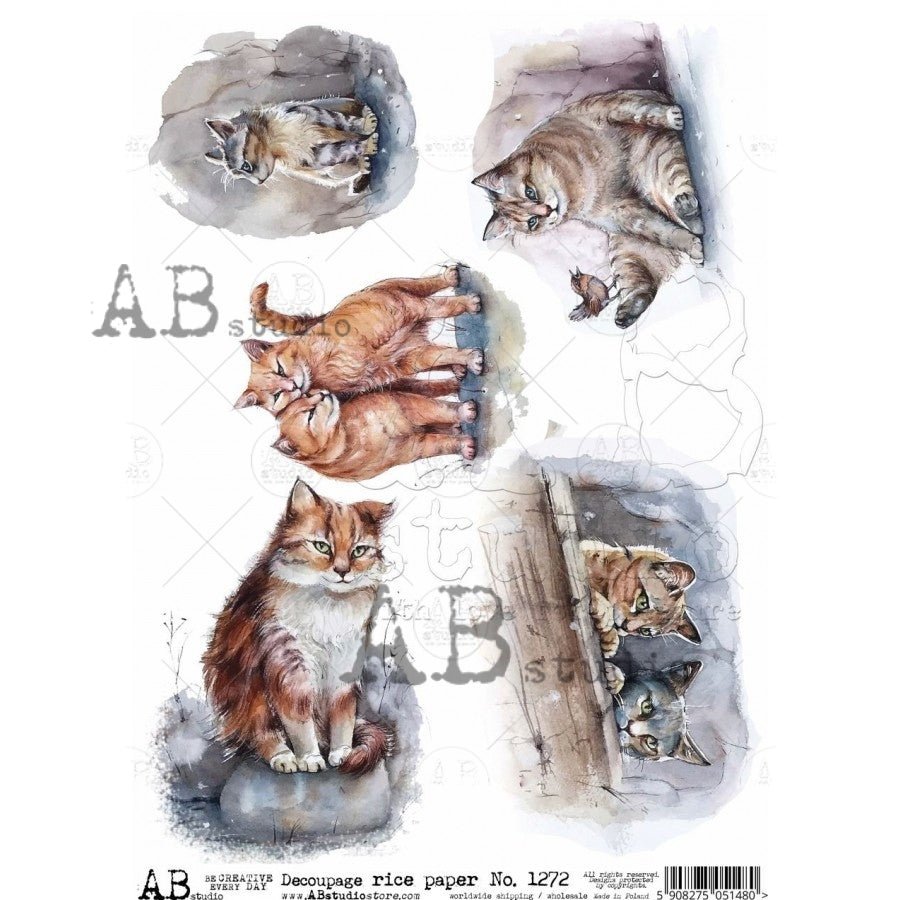 Curious Cats Decoupage Rice Paper A4 Item No. 1272 by AB Studio – All ...