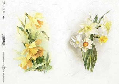 Daffodil Cards Decoupage Rice Paper A4 Item R1977 by ITD Collection