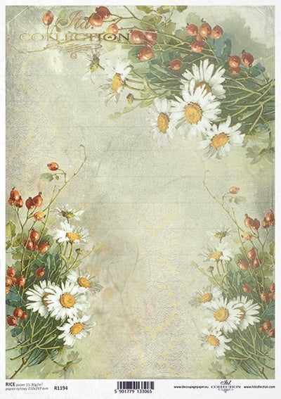 Daises and Berries Decoupage Rice Paper A4 Item R1194 by ITD Collection