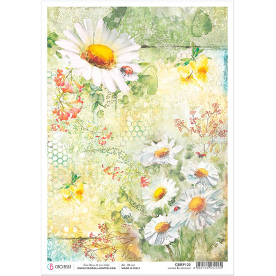 Daisies & Ladybugs - A4 Rice Paper Microcosmos Ciao Bella Collection