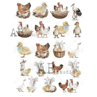 Ducks and Chickens and a Rabbit Decoupage Rice Paper A4 Item No. 1298 by AB Studio
