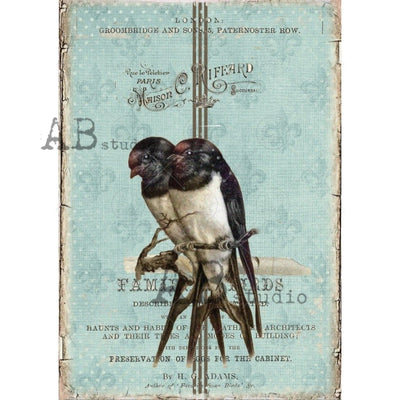 Familiar Birds Decoupage Rice Paper A4 Item No. 1139 by AB Studio
