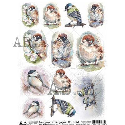 Finches and Green Jay Cards Decoupage Rice Paper A4 Item No. 1261 by AB Studio