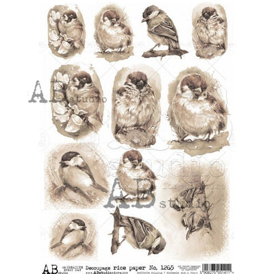 Finches and Green Jay Sepia Cards Decoupage Rice Paper A4 Item No. 1265 by AB Studio