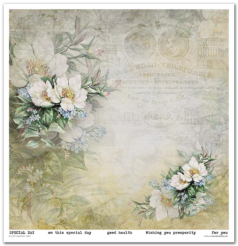 Flower Post White Scrapbooking Paper Set 12.2x12.6 10/Pkg by