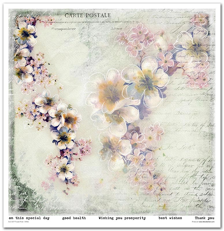 Flower Post White Scrapbooking Paper Set 12.2x12.6 10/Pkg by