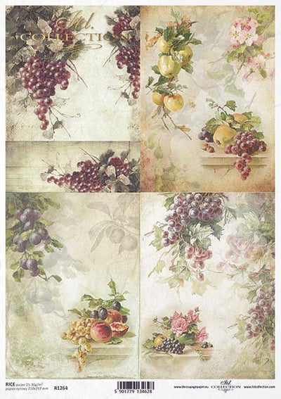Grape and Assorted Fruit Cards Decoupage Rice Paper A4 Item R1264 by ITD Collection