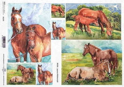 Horses Watercolor Cards Decoupage Rice Paper A4 Item R1219 by ITD Collection