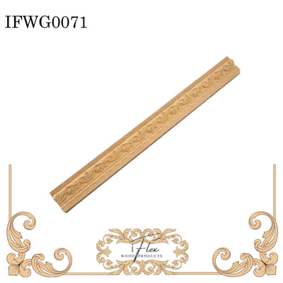 IFW G0071