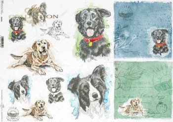 Mans Best Friend and Dogs Watercolor Cards Decoupage Rice Paper A4 Item R1563 by ITD Collection