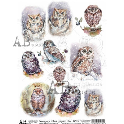 Owl Medallions Decoupage Rice Paper A4 Item No. 1278 by AB Studio
