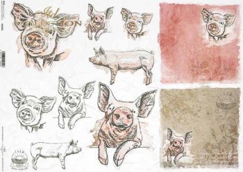 Piggy Oink Oink Watercolor Cards Decoupage Rice Paper A4 Item R1554 by ITD Collection