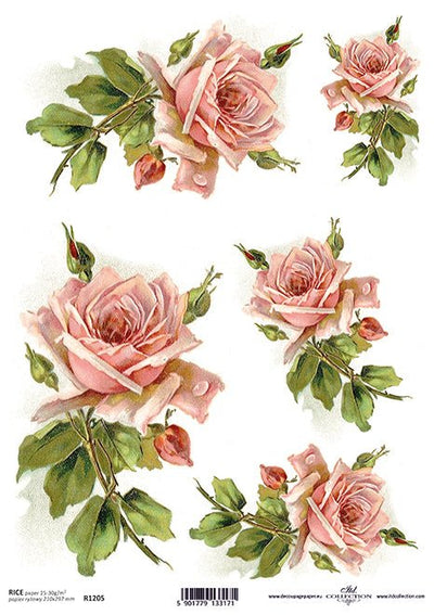 Pink Rose Labels Decoupage Rice Paper A4 Item R1205 by ITD Collection