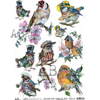 Playful Birds Dressed in Attire Decoupage Rice Paper A3 Item No. 3495 by AB Studio