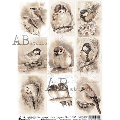 Sepia Bird Cards Decoupage Rice Paper A4 Item No. 1283 by AB Studio