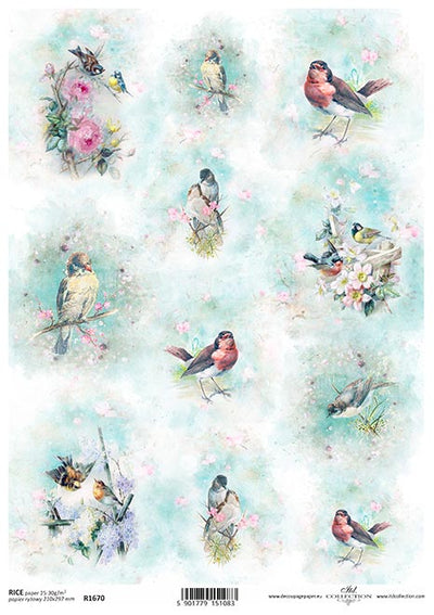 Small Bird Labels Decoupage Rice Paper A4 Item R1670 by ITD Collection