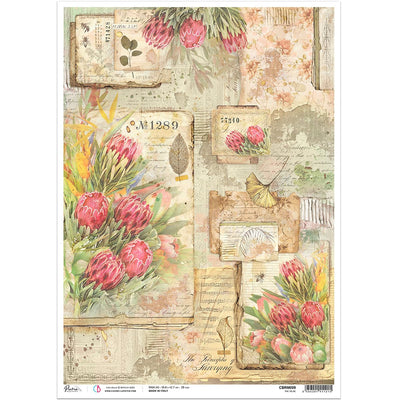 The Muse - A3 Rice Paper The Muse Ciao Bella Collection