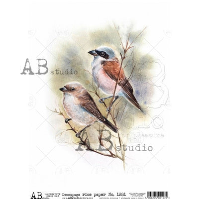Two Birds Perched on Branches Decoupage Rice Paper A4 Item No. 1281 by AB Studio