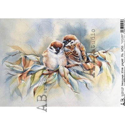 Two Brown Birds on a Branch Decoupage Rice Paper A4 Item No. 1258 by AB Studio