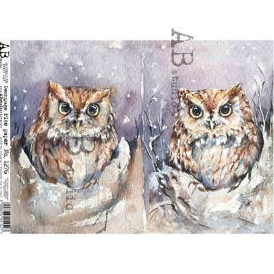 Two Burrowing Owls Decoupage Rice Paper A4 Item No. 1276 by AB Studio