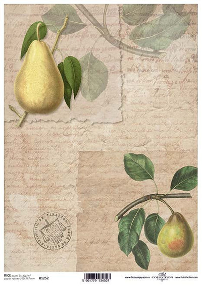 Vintage Pears Decoupage Rice Paper A4 Item R1252 by ITD Collection