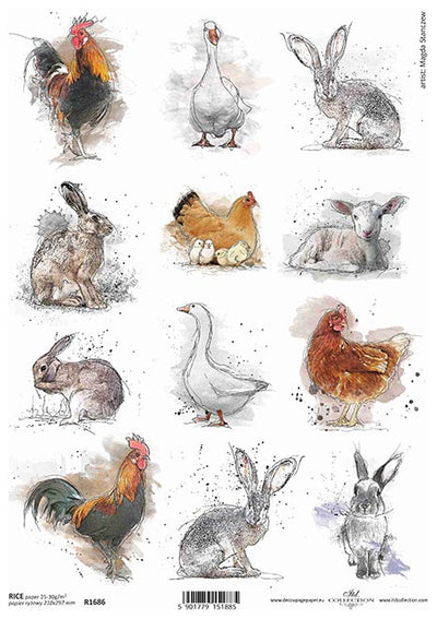 Watercolor Farm Animal Cards Decoupage Rice Paper A4 Item R1686 by ITD Collection