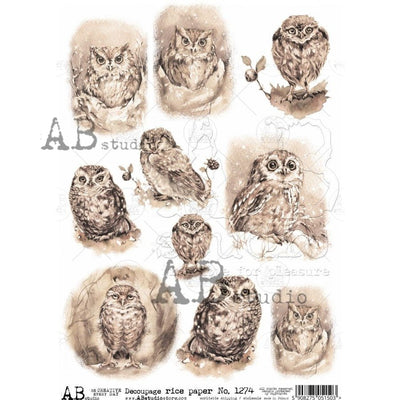 Wise Owls Gazing Sepia Decoupage Rice Paper A4 Item No. 1274 by AB Studio